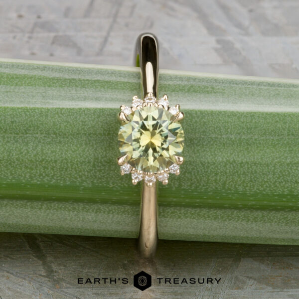 The "Wren" ring in 14k yellow gold with 0.91-carat Montana sapphire The "Wren" ring in 14k yellow gold features a 0.91-carat Montana sapphire surrounded by a halo of diamonds, displayed on a green leaf.
