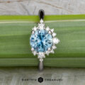 The "Veronica" ring in 14k white gold, featuring a 1.53-carat Montana sapphire surrounded by small white stones, is displayed on a green leaf background.