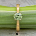 The "Maya" ring in 18k yellow gold with a 1.48-carat Australian sapphire stands upright against a green leaf background. The text "EARTH'S TREASURY" is displayed at the bottom.