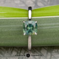 The Cathedral "Fleur" ring in platinum with a 1.72-carat Montana sapphire is displayed upright against two stacked green leaves, with the "Earth's Treasury" logo and text at the bottom.