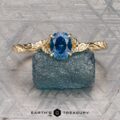 The "Amborella" ring in 14K yellow gold with a 0.96-carat Montana sapphire features delicate leaf engravings and rests on a rough blue-green stone atop a textured surface, with the "Earth's Treasury" logo below.