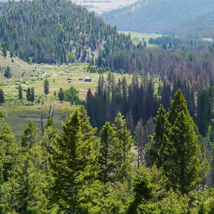 Experience the beauty of Mining-Montana-Sapphires amid a forested landscape, with grassy clearings, parked vehicles, and majestic mountains rising in the background under a clear sky.