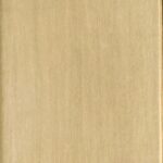 A close-up view of the Smooth Brush reveals its smooth, light-colored wooden surface with a subtle grain pattern.