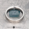 Harrison, Samuel 3," a classic ring with a textured blue stone, is displayed on a patterned surface with "Earth's Treasury" at the bottom.