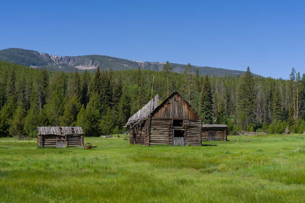 Three old wooden cabins stand in a grassy meadow with forest and mountains in the background under a clear sky, as seen in _DSC5832-1200-BW.