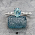 The "Heliophila" ring in 14K white gold with 1.05-Carat Montana Sapphire
