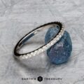 The "Amphitrite" band in 18K white gold