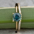 The "Katya" ring in 14K yellow gold with a 1.35-carat Australian sapphire is shown beside the petite pave contour band in 14K yellow gold, both displayed on a bamboo stalk.