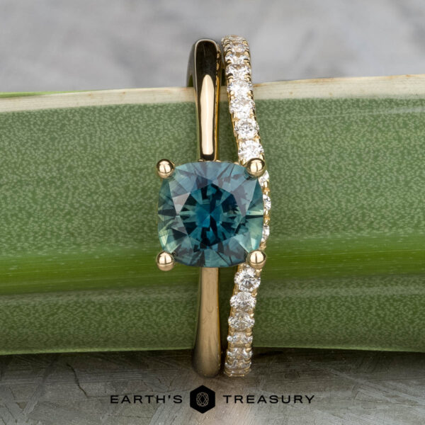 The "Katya" ring in 14K yellow gold with 1.35-carat Australian sapphire, alongside the petite pave contour band in 14K yellow gold The "Katya" ring in 14K yellow gold with a 1.35-carat Australian sapphire is shown beside the petite pave contour band in 14K yellow gold, both displayed on a bamboo stalk.