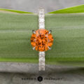 The Deluxe Pave "Claire" platinum ring, featuring a 2.05-carat Montana sapphire center and diamond accents, is displayed upright on a green leaf. The Earth's Treasury logo appears at the bottom.