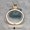 The "Begonia" ring features a 1.56-carat Australian sapphire set in 14K yellow gold.