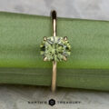 The "Begonia" ring in 14K yellow gold, featuring a 1.56-carat Australian sapphire, is displayed upright on a green stem with the Earth's Treasury logo at the bottom center.