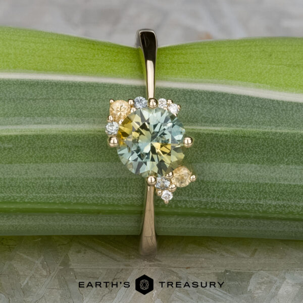 The "Nebula" ring in 14K yellow gold with 1.54-carat Montana sapphire The "Nebula" ring features a 1.54-carat yellow-green Montana sapphire in 14K yellow gold, accented with small diamonds and yellow stones, beautifully set and displayed on a green striped leaf.