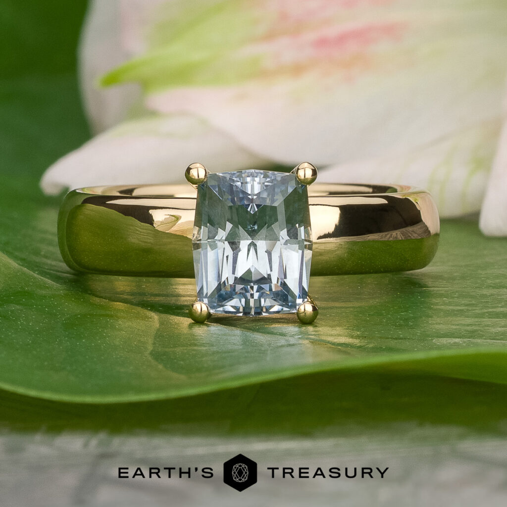 A gold ring with a rectangular gemstone, "Stacked from 16 images. Method=B (R=11,S=7)," rests on a green leaf, with a blurred flower in the background and the "Earth's Treasury" logo at the bottom.