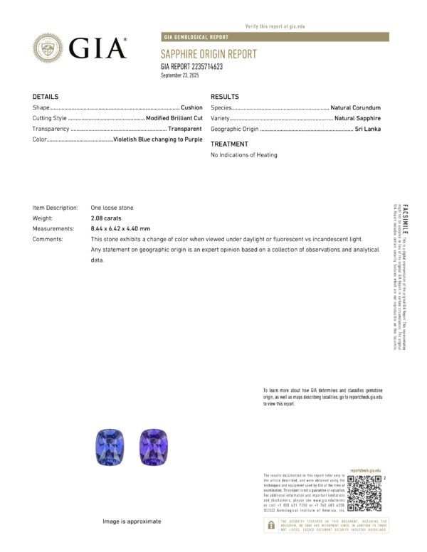 JV1604T GIA Report A close-up of the JV1604T GIA Report document.
