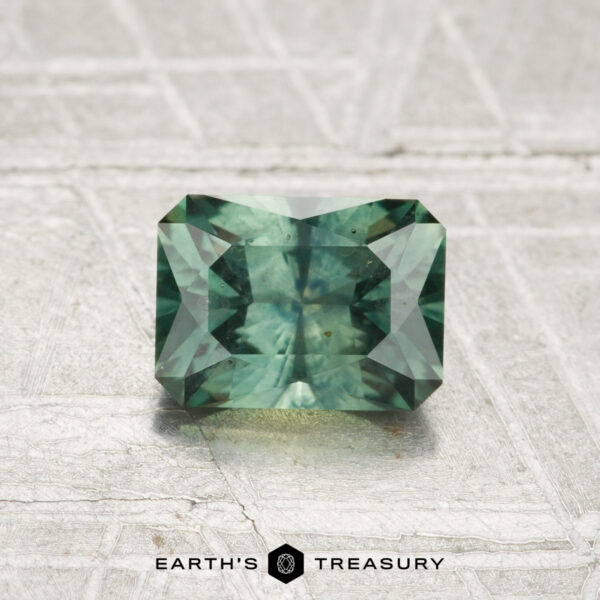 A 1.07-carat heated Montana Sapphire with faceted cuts is displayed on a textured metallic surface, with "Earth's Treasury" at the bottom.