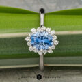 A Custom ring in platinum with a 1.27-carat Montana sapphire center, surrounded by small clear diamonds, is displayed on a green leaf.
