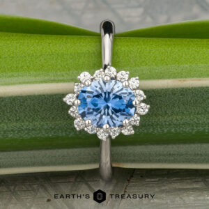 A Custom ring in platinum with a 1.27-carat Montana sapphire center, surrounded by small clear diamonds, is displayed on a green leaf.