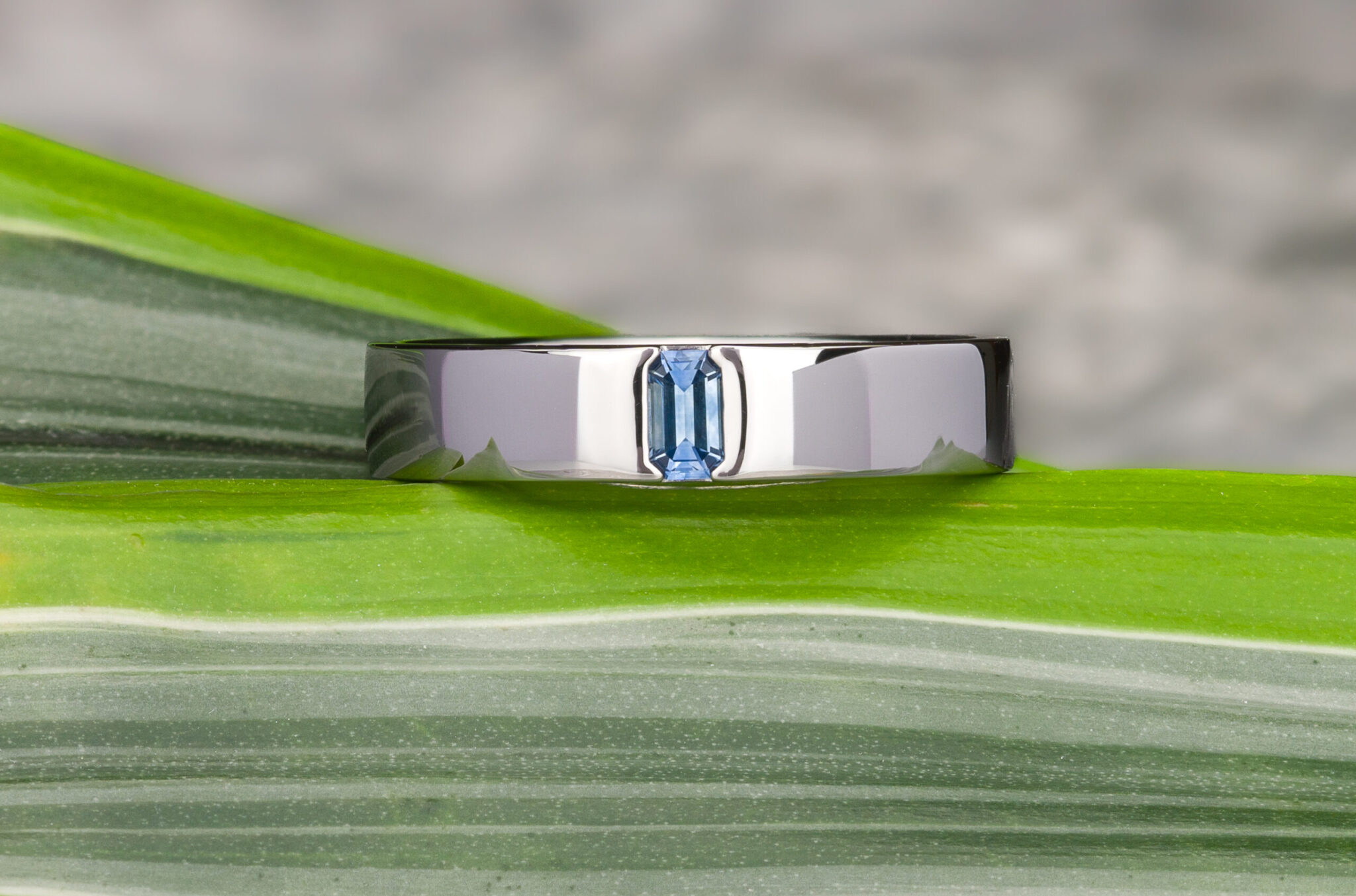 “Stacked from 15 images. Method=B (R=10,S=7)” is displayed as a silver ring with a rectangular blue gemstone on a green striped leaf, set against a blurred gray background—ideal for custom wedding bands.