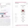 The RR1181C JM-001-371C-X report covers a 1.18-carat natural Burmese Pigeon Blood Red ruby, featuring a lab hologram, signatures, and detailed report information.