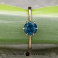 The “Elenin” Ring with 1.47-Carat Montana Sapphire (Heated)