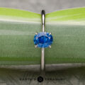 The “Thalia” Solitaire With 1.23-Carat Montana Sapphire (Heated)