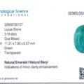 Gemological report card for Product EV3190C JM-001-410C-X: a loose natural emerald, 3.19 carats, oval mixed cut, green color, measuring 11.31 x 7.95 x 5.57 mm, with minor clarity enhancement.