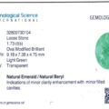 Gemological report for EVRG1730C JM-001-390-X: loose oval modified brilliant cut natural emerald, 1.73 ct, light green, transparent, minor clarity enhancement with filled cavities.