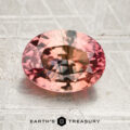 A 2.55-carat peach pink-teal particolored sapphire (heated), oval-cut with reflective facets, rests on a textured metallic surface; the “Earth’s Treasury” logo and text are visible at the bottom.